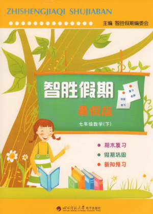2019年人教版智勝假期暑假版七年級(jí)數(shù)學(xué)下冊(cè)參考答案