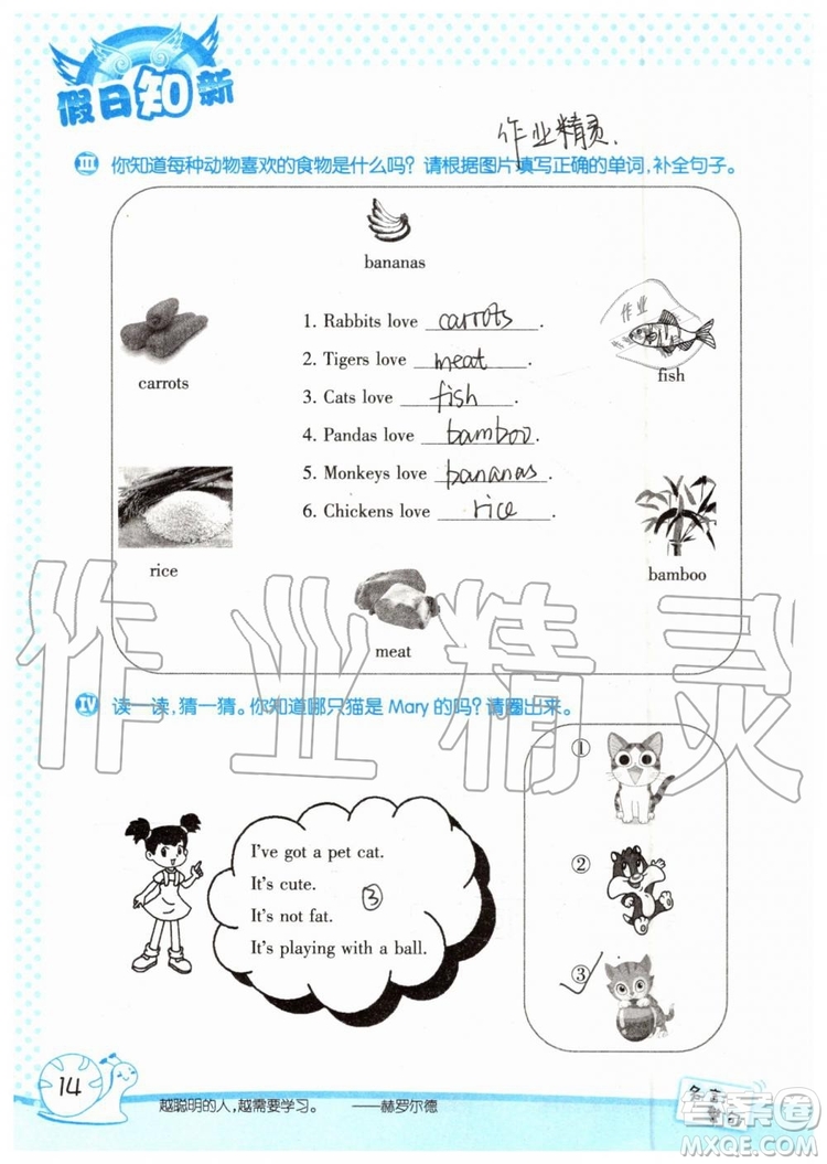暑假學(xué)習(xí)與生活2019年假日知新四年級(jí)英語學(xué)習(xí)版參考答案