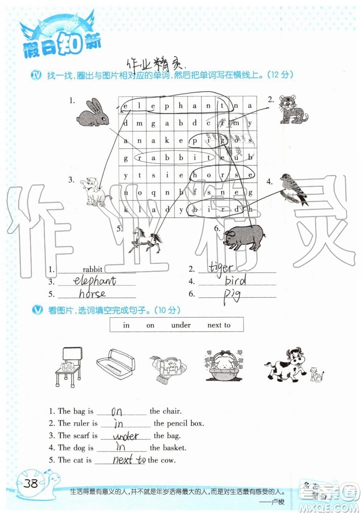 暑假學(xué)習(xí)與生活2019年假日知新四年級(jí)英語學(xué)習(xí)版參考答案