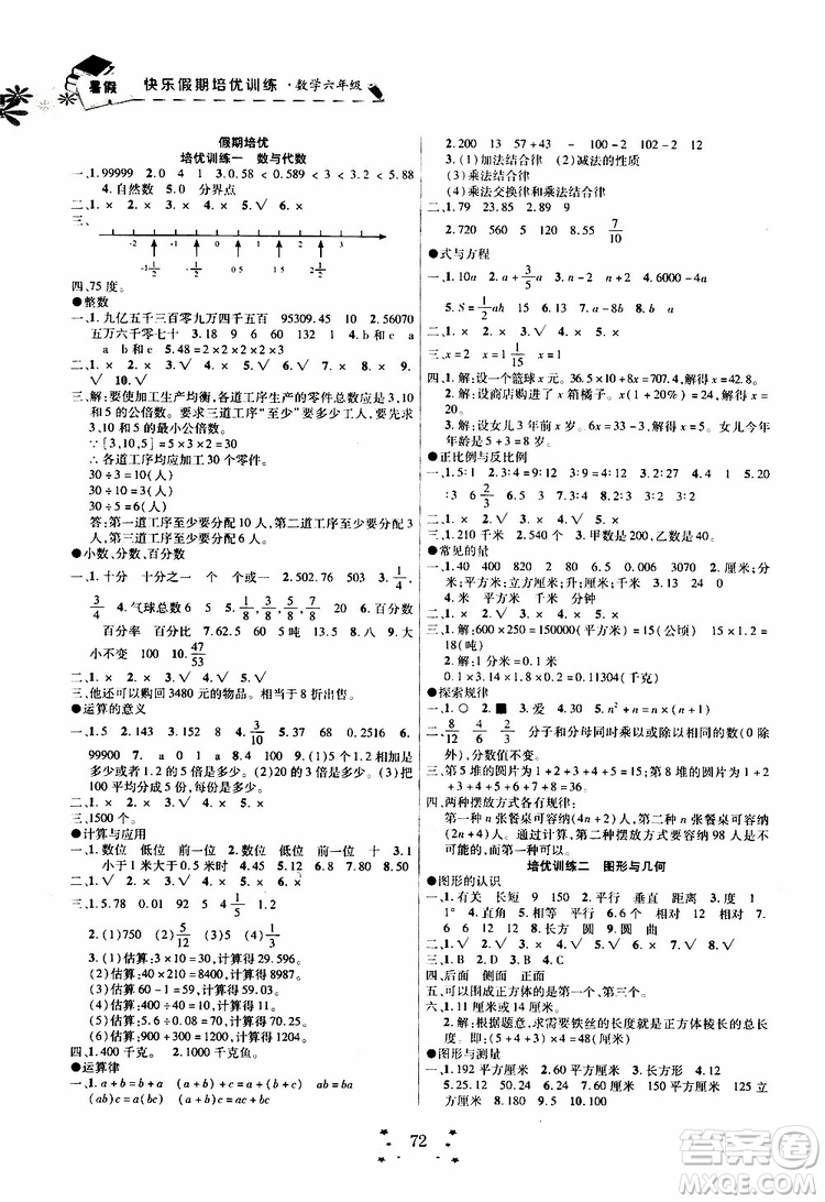 暑假銜接教材2019年快樂假期培優(yōu)訓(xùn)練6升7數(shù)學(xué)參考答案