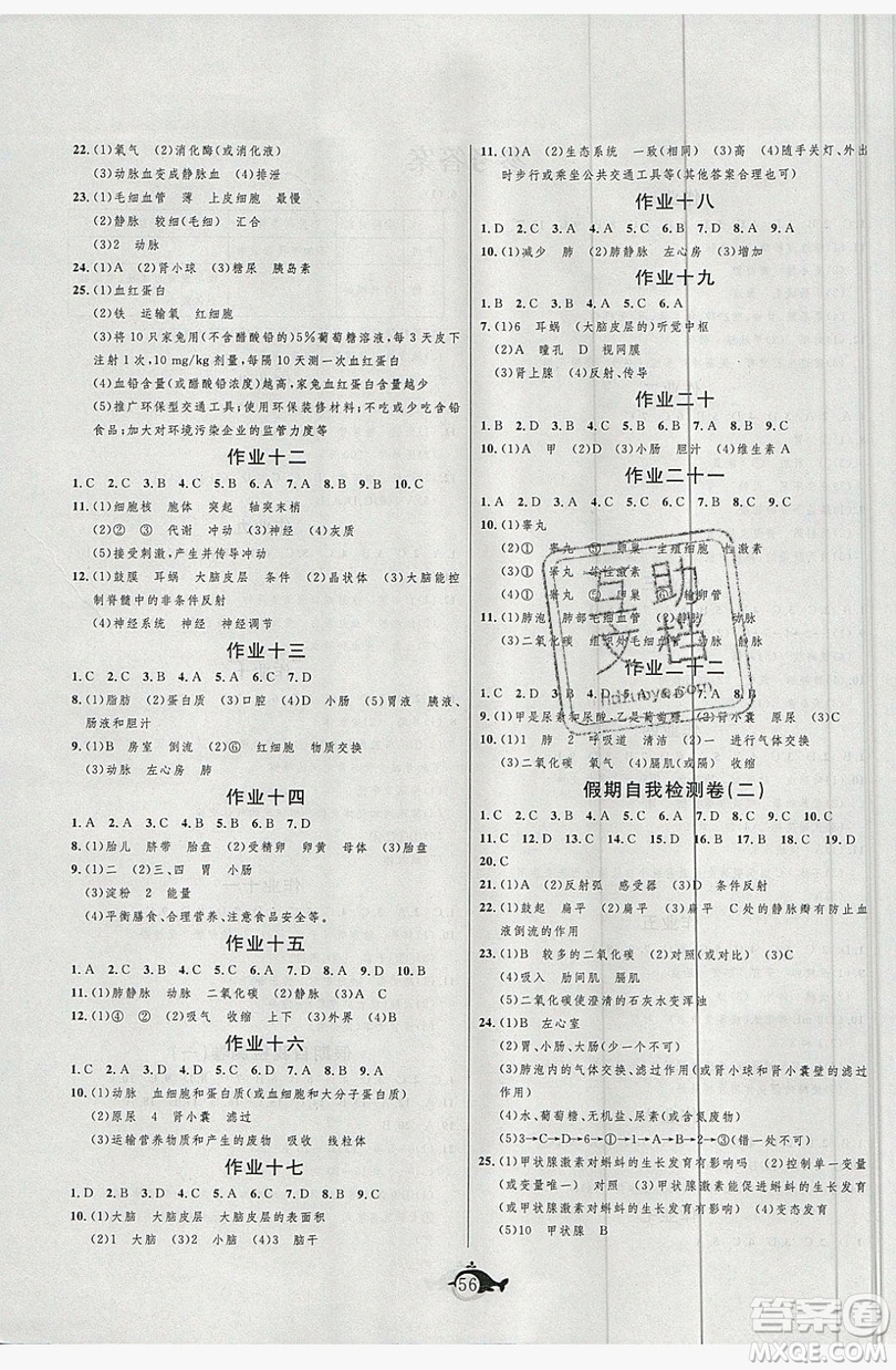 新疆美術(shù)攝影出版社2019績(jī)優(yōu)課堂快樂(lè)暑假七年級(jí)生物人教版答案