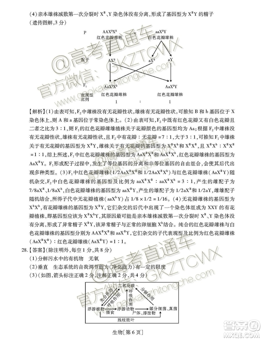 2020屆河南非凡吉創(chuàng)聯(lián)盟高三7月聯(lián)考生物試題及答案