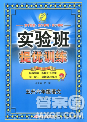 2019春雨教育實驗班提優(yōu)訓練五升六年級語文人教版RMJY暑假銜接答案