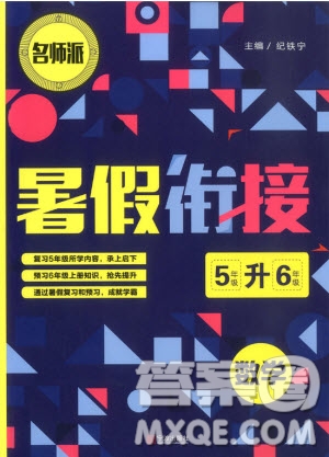 名師派2019版暑假銜接五升六數(shù)學通用版參考答案