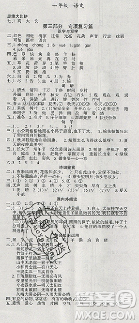 2019年假期特訓(xùn)年度總復(fù)習(xí)暑假一年級語文參考答案
