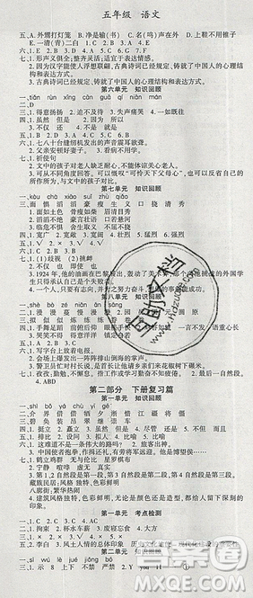 2019年假期特訓(xùn)年度總復(fù)習(xí)暑假五年級數(shù)學(xué)參考答案