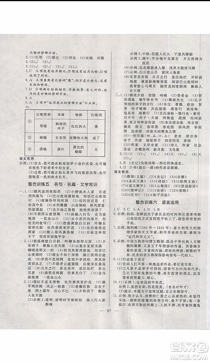 2019年高效A計(jì)劃期末暑假銜接七年級(jí)語(yǔ)文人教版RJ參考答案