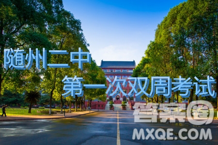 2020屆湖北隨州二中高三上學(xué)期第一次雙周考試語文試題及參考答案