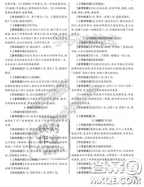 最新修訂版七年級閱讀理解訓練鼎尖閱讀閱讀組合訓練參考答案