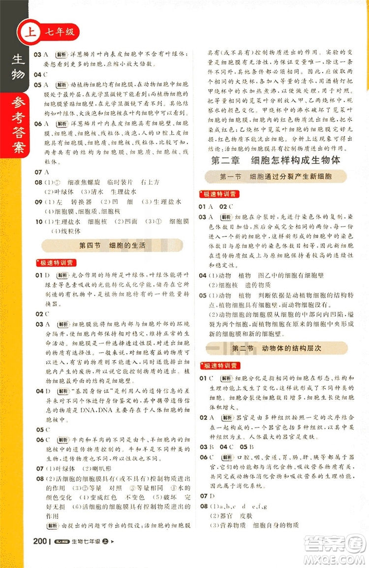 1+1輕巧奪冠2019課堂直播七年級(jí)上冊(cè)生物人教版答案