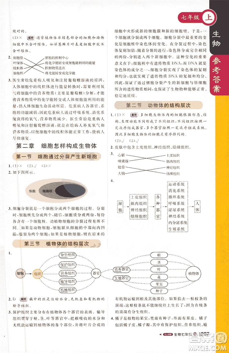 1+1輕巧奪冠2019課堂直播七年級(jí)上冊(cè)生物人教版答案