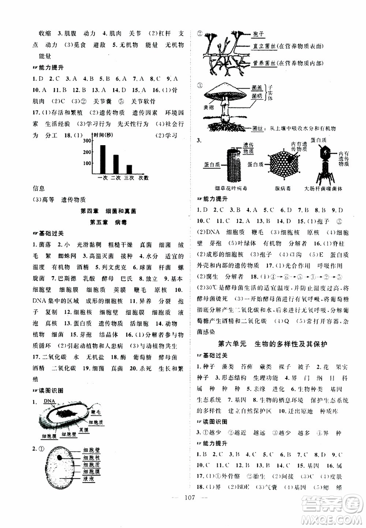 萬(wàn)羽文化2019年秋生物名師學(xué)案分層進(jìn)階學(xué)習(xí)法八年級(jí)上冊(cè)參考答案