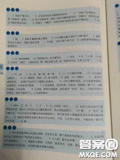 2019全國68所名牌小學(xué)小學(xué)語文閱讀訓(xùn)練80篇五年級全冊參考答案