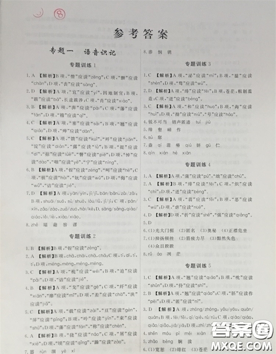 2019一飛沖天初中語(yǔ)文基礎(chǔ)知識(shí)強(qiáng)化訓(xùn)練八年級(jí)參考答案