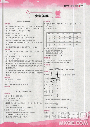 2019新概念小學(xué)年級(jí)暑假銜接教材5升6年級(jí)數(shù)學(xué)參考答案