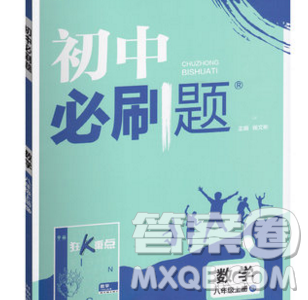 2019年新版初中必刷題八年級上冊數(shù)學人教版答案