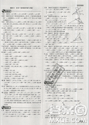 2019年新版初中必刷題八年級上冊數(shù)學人教版答案