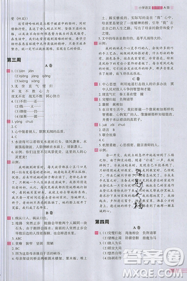 2019秋新版木頭馬閱讀小卷小學(xué)語文5年級(jí)A版參考答案