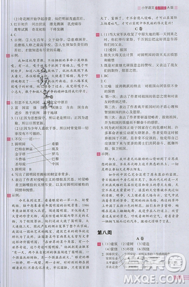 2019秋新版木頭馬閱讀小卷小學(xué)語文5年級(jí)A版參考答案