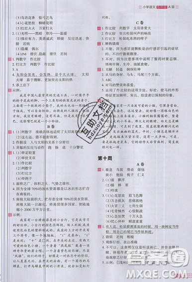 2019秋新版木頭馬閱讀小卷小學(xué)語文5年級(jí)A版參考答案