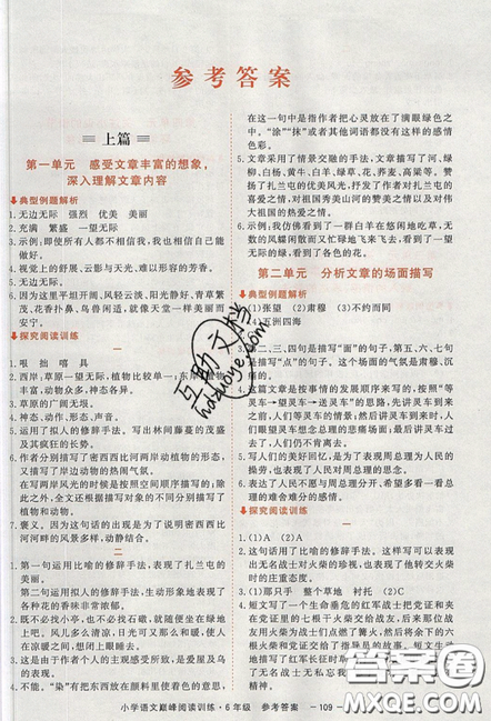 2019最新版新視野海之星小學(xué)語(yǔ)文巔峰閱讀訓(xùn)練六年級(jí)參考答案
