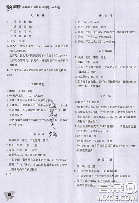 文化發(fā)展出版社2019銳閱讀小學(xué)語(yǔ)文閱讀巔峰訓(xùn)練六年級(jí)參考答案