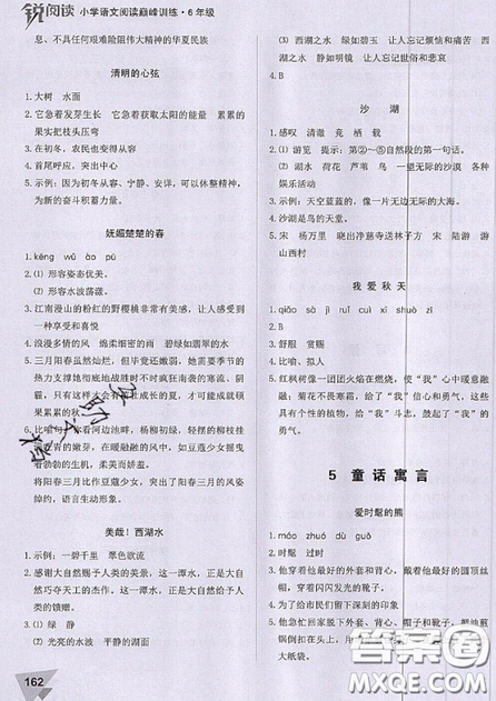 文化發(fā)展出版社2019銳閱讀小學(xué)語(yǔ)文閱讀巔峰訓(xùn)練六年級(jí)參考答案
