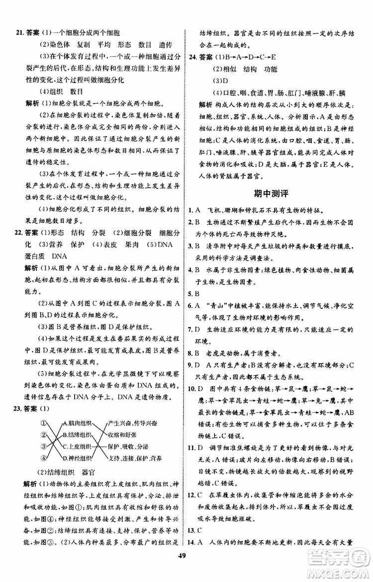 2019年初中同步學考優(yōu)化設計生物七年級上冊RJ人教版參考答案