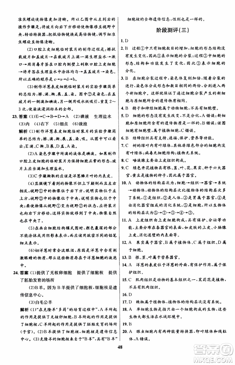 2019年初中同步學考優(yōu)化設計生物七年級上冊RJ人教版參考答案