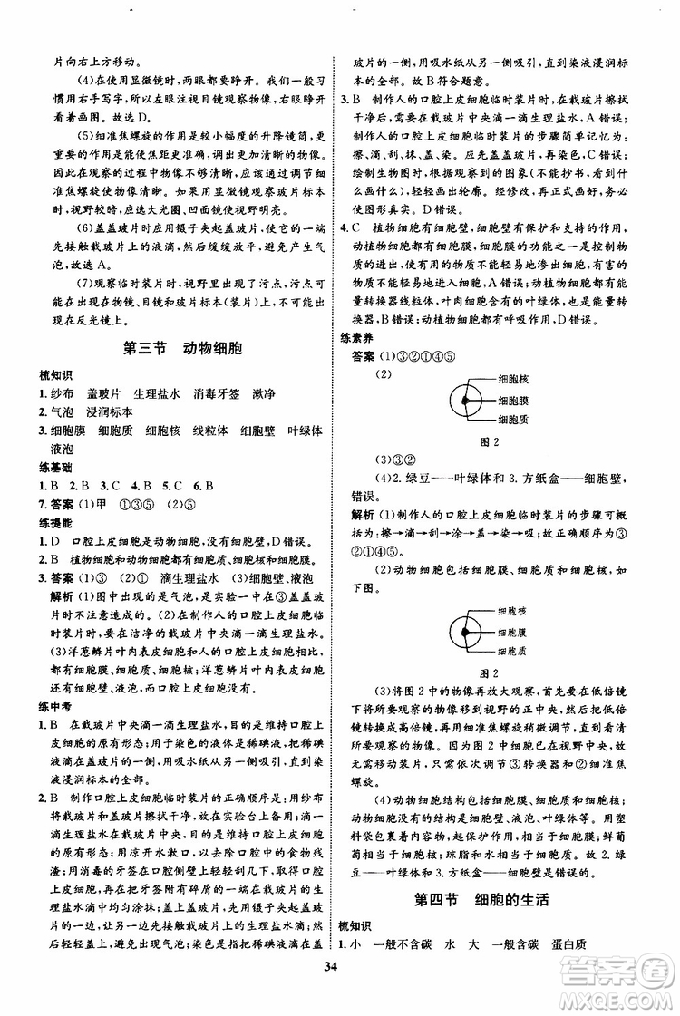 2019年初中同步學考優(yōu)化設計生物七年級上冊RJ人教版參考答案