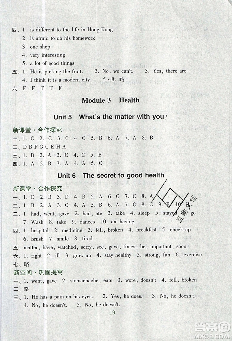 2019南方新課堂金牌學(xué)案六年級(jí)英語上冊教育科學(xué)版答案