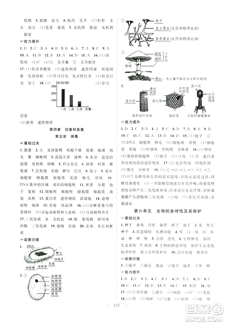 智慧萬羽2019名師學案分層進階學習八年級生物上冊答案