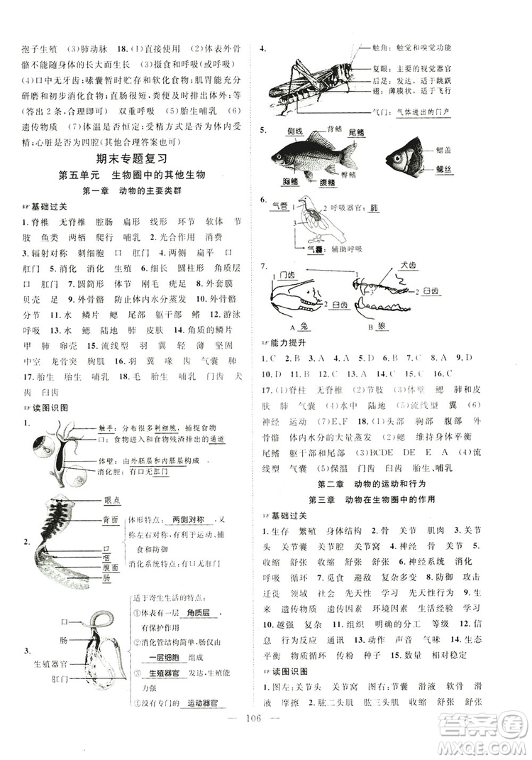 智慧萬羽2019名師學案分層進階學習八年級生物上冊答案