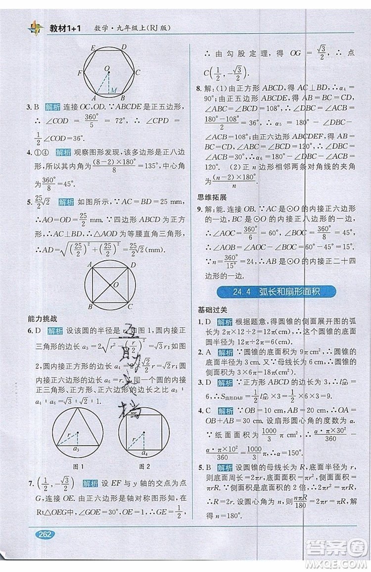 全能學練2019秋教材1+1優(yōu)化創(chuàng)新訓練數(shù)學九年級上冊RJ版人教版參考答案