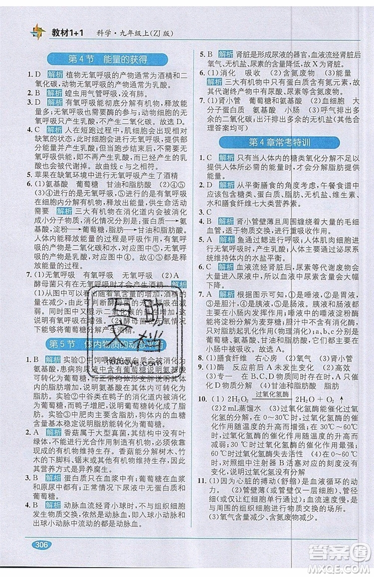 全能學(xué)練2019秋教材1+1優(yōu)化創(chuàng)新訓(xùn)練科學(xué)九年級(jí)上冊(cè)ZJ版浙教版參考答案