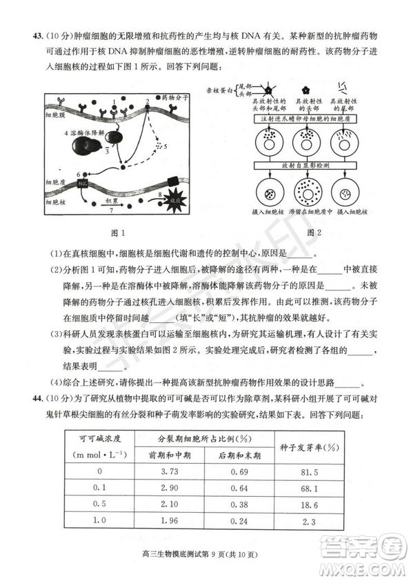 成都市2017級高中畢業(yè)班摸底測試生物試題及答案