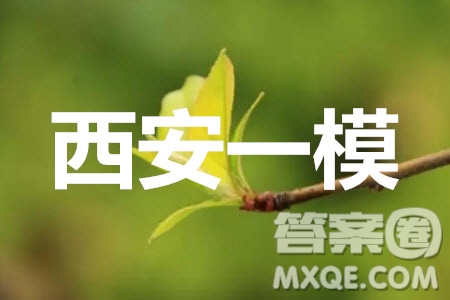 2020屆西安一模英語試題及答案