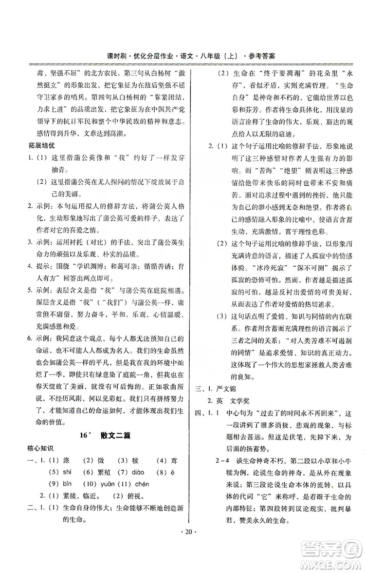 馳逐文化2019課時(shí)刷優(yōu)化分層作業(yè)八年級(jí)語文上冊(cè)答案
