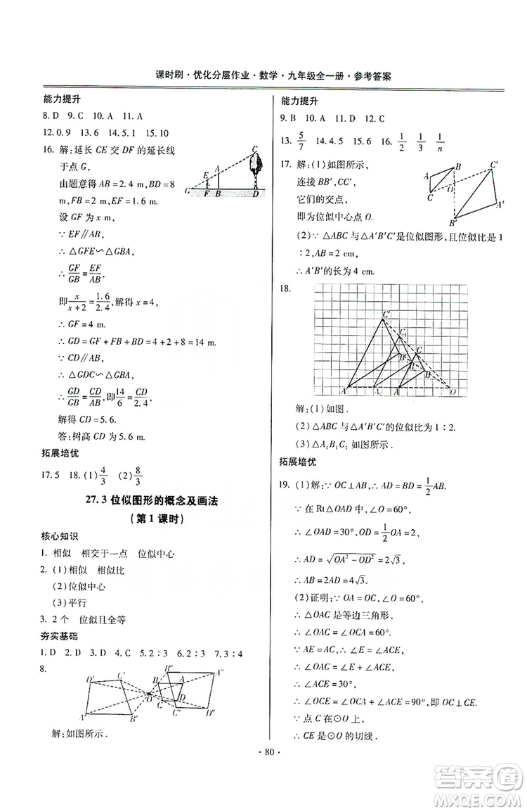 馳逐文化2019課時(shí)刷優(yōu)化分層作業(yè)九年級數(shù)學(xué)全一冊答案