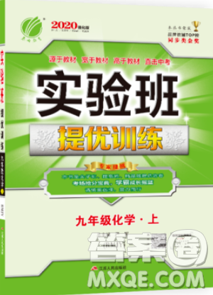 春雨教育2019秋實(shí)驗(yàn)班提優(yōu)訓(xùn)練九年級(jí)化學(xué)上冊(cè)RMJY人教版參考答案