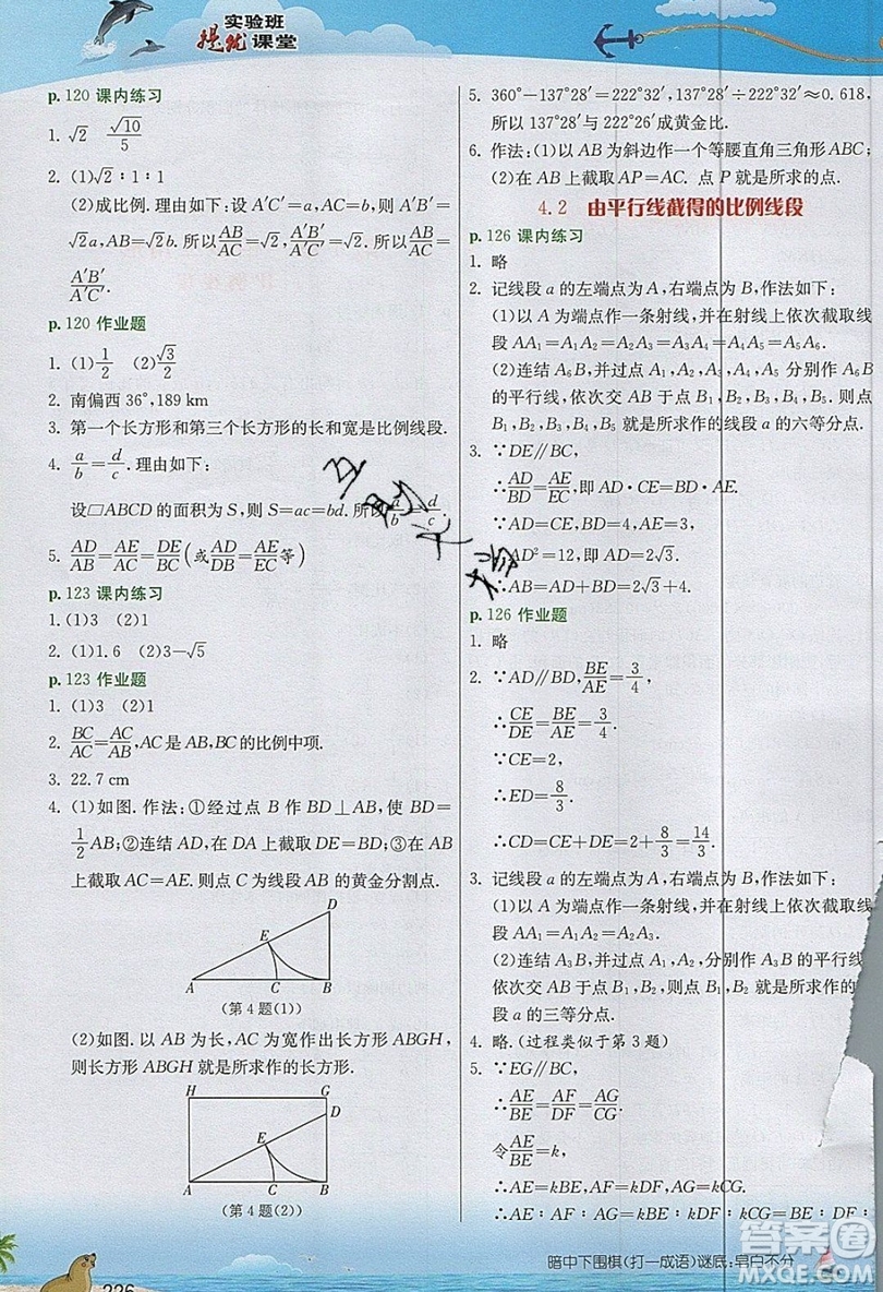江蘇人民出版社2019春雨教育實驗班提優(yōu)課堂數(shù)學(xué)九年級上冊ZJJY浙教版參考答案