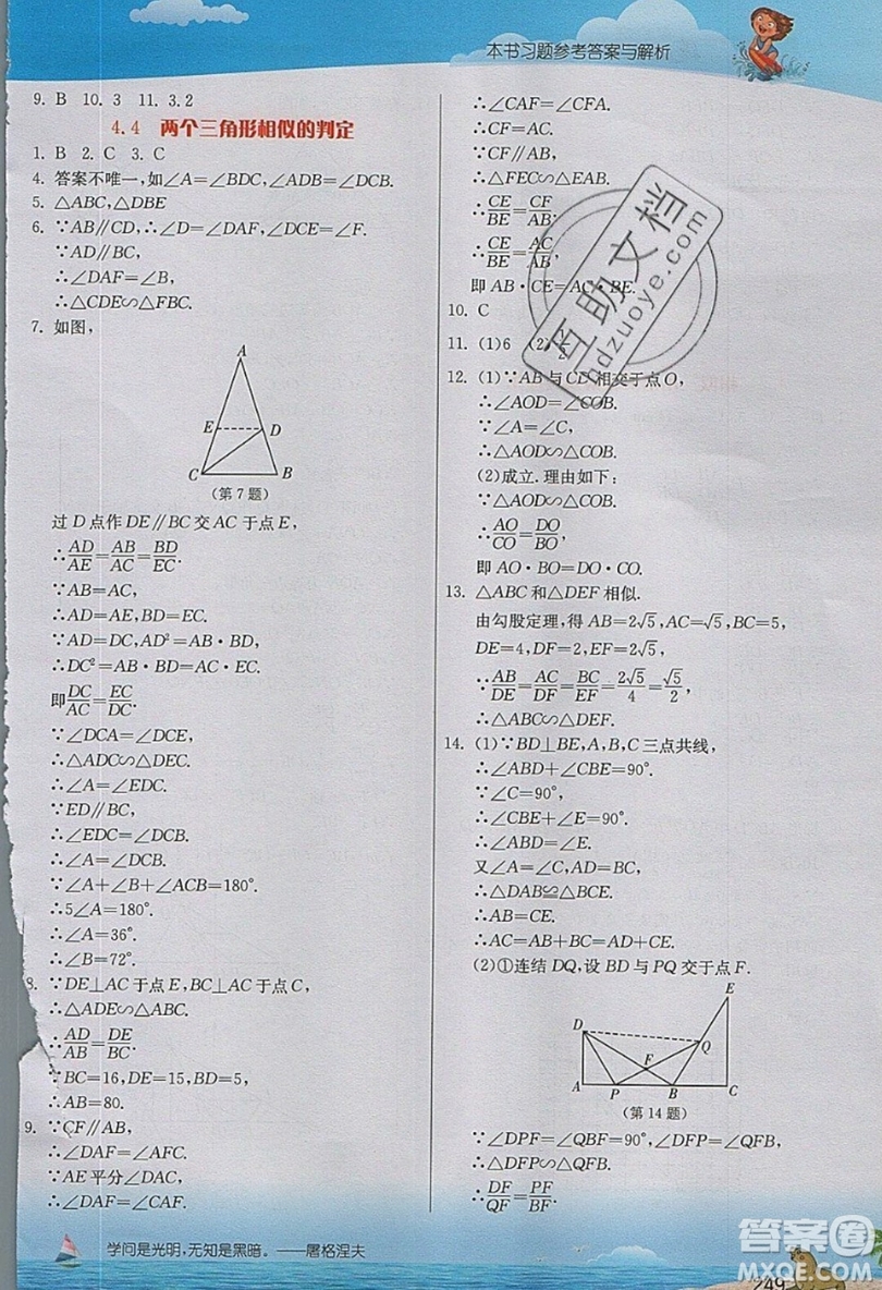 江蘇人民出版社2019春雨教育實驗班提優(yōu)課堂數(shù)學(xué)九年級上冊ZJJY浙教版參考答案
