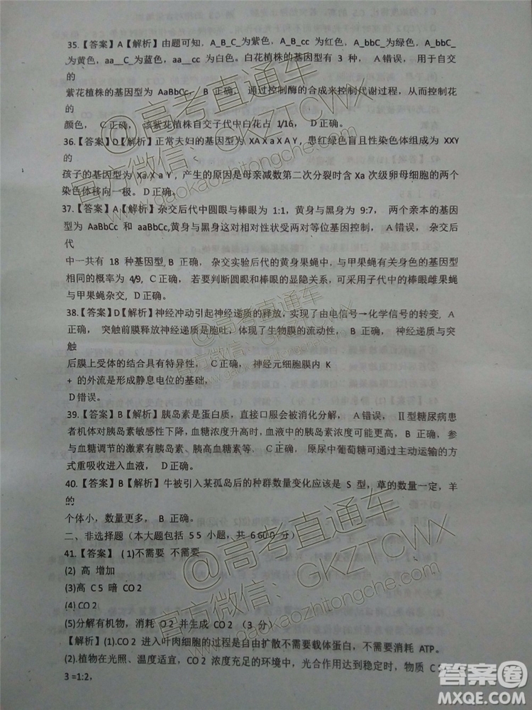2020湖南G10/H11高三入學(xué)聯(lián)考物理試題及答案