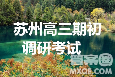 2020屆蘇州市高三期初調(diào)研考試數(shù)學(xué)試題及答案解析