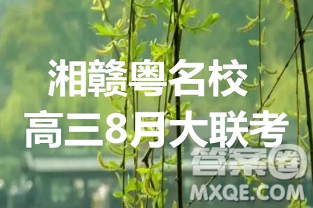 2020屆湘贛粵名校高三8月大聯(lián)考文科數(shù)學試題及答案