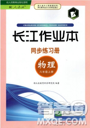 2019年長江作業(yè)本同步練習冊物理八年級上冊人教版答案
