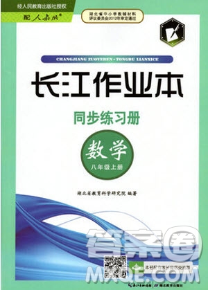 2019年長江作業(yè)本同步練習(xí)冊(cè)數(shù)學(xué)八年級(jí)上冊(cè)人教版答案
