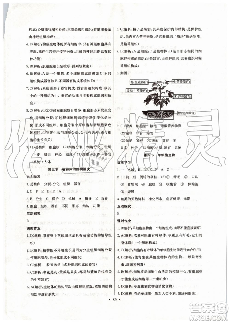 2019新長江全能學(xué)案初中七年級上冊生物學(xué)人教版同步練習(xí)冊答案