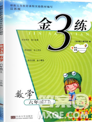 東南大學(xué)出版社2019新版金3練數(shù)學(xué)六年級(jí)上冊(cè)江蘇版參考答案