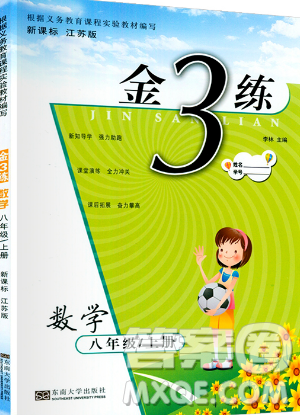東南大學(xué)出版社2019新版金3練數(shù)學(xué)八年級(jí)上冊(cè)江蘇版參考答案